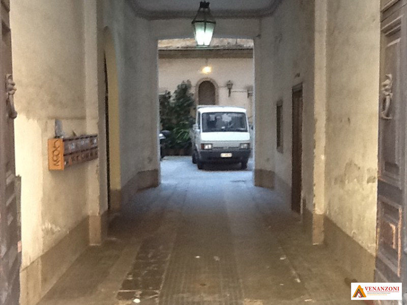 Ante Operam Androne